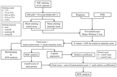 Artificial Neural Network Analysis-Based Immune-Related Signatures of Primary Non-Response to Infliximab in Patients With Ulcerative Colitis